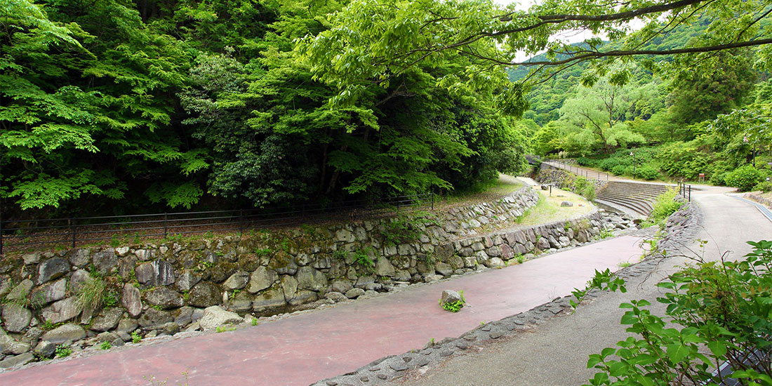 BBQ・川遊びイメージ